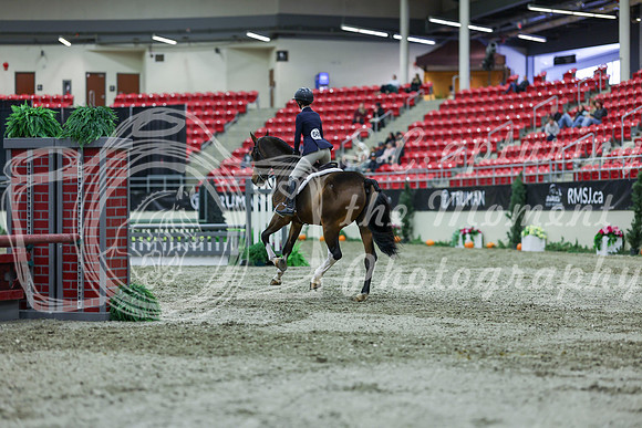2025 - Shea - Royal West - Saturday October 18th - 01568