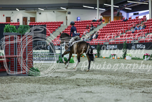 2025 - Shea - Royal West - Saturday October 18th - 01569