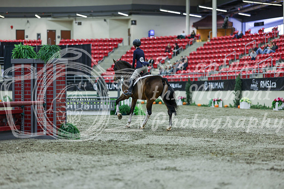 2025 - Shea - Royal West - Saturday October 18th - 01570