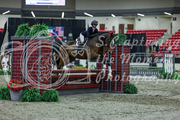 2025 - Shea - Royal West - Saturday October 18th - 01582