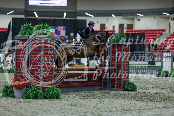 2025 - Shea - Royal West - Saturday October 18th - 01581