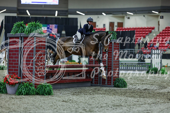2025 - Shea - Royal West - Saturday October 18th - 01583