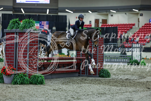 2025 - Shea - Royal West - Saturday October 18th - 01584