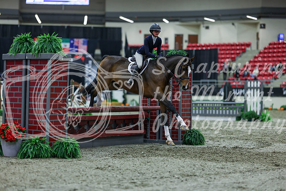 2025 - Shea - Royal West - Saturday October 18th - 01585