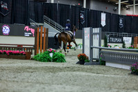 2025 - Shea - Royal West - Saturday October 18th - 01586