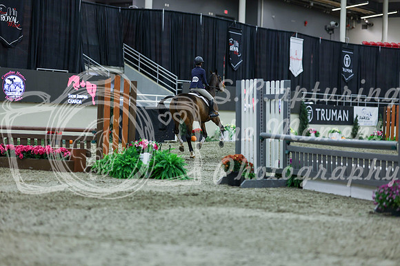 2025 - Shea - Royal West - Saturday October 18th - 01587
