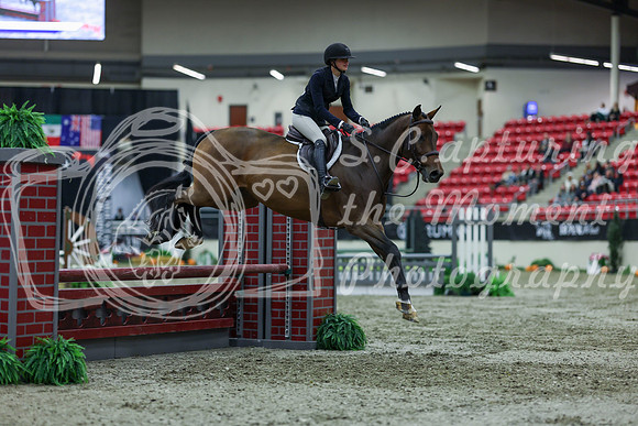 2025 - Shea - Royal West - Saturday October 18th - 01652