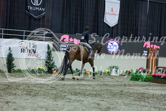 2025 - Shea - Royal West - Saturday October 18th - 01653