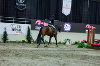 2025 - Shea - Royal West - Saturday October 18th - 01654