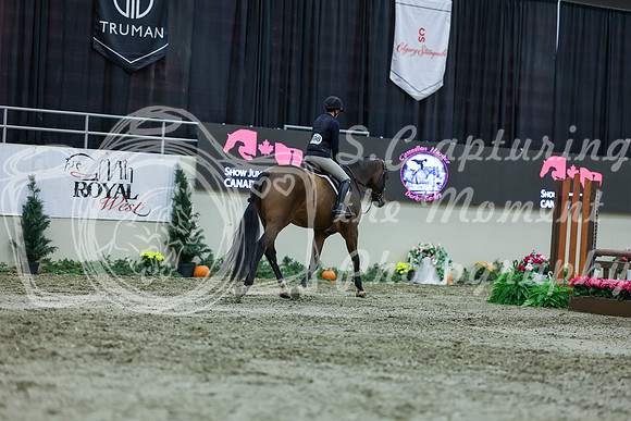 2025 - Shea - Royal West - Saturday October 18th - 01654
