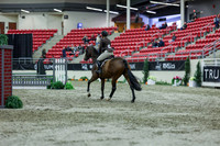 2025 - Shea - Royal West - Saturday October 18th - 01743