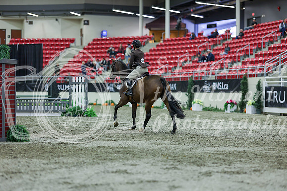 2025 - Shea - Royal West - Saturday October 18th - 01743