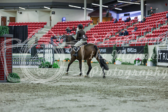 2025 - Shea - Royal West - Saturday October 18th - 01744