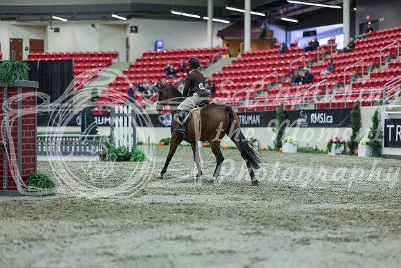 2025 - Shea - Royal West - Saturday October 18th - 01745