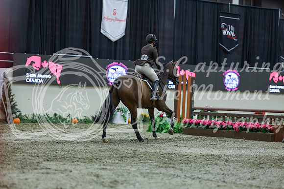 2025 - Shea - Royal West - Saturday October 18th - 01762