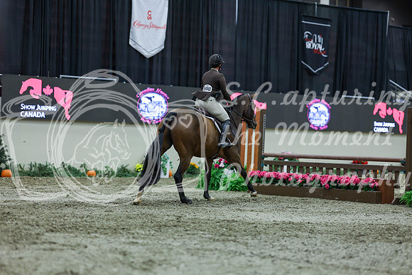 2025 - Shea - Royal West - Saturday October 18th - 01764