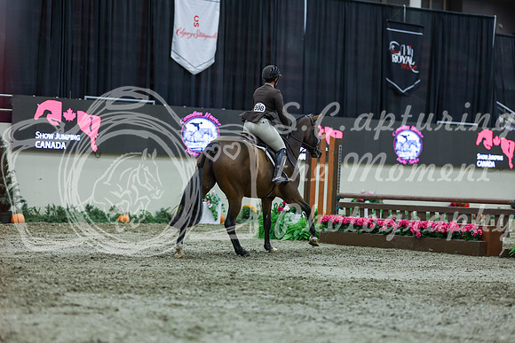 2025 - Shea - Royal West - Saturday October 18th - 01763