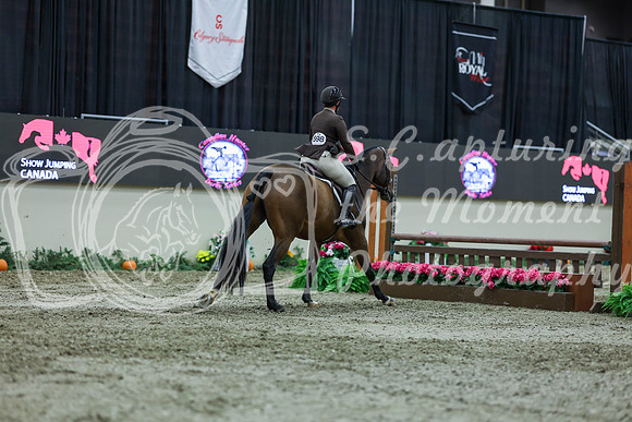 2025 - Shea - Royal West - Saturday October 18th - 01765