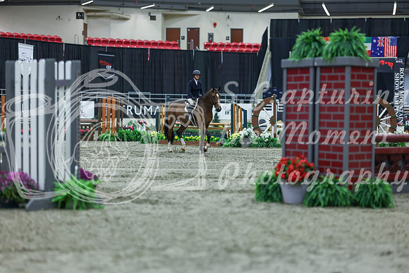 2025 - Shea - Royal West - Saturday October 18th - 00391
