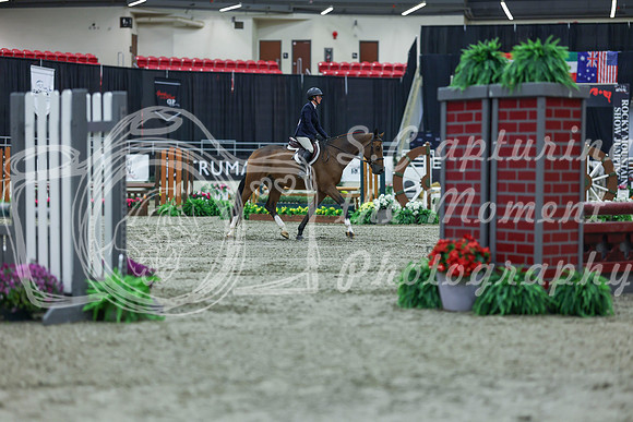 2025 - Shea - Royal West - Saturday October 18th - 00416