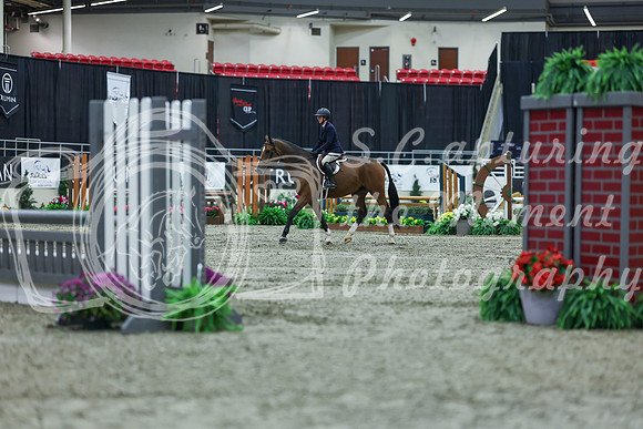 2025 - Shea - Royal West - Saturday October 18th - 00486