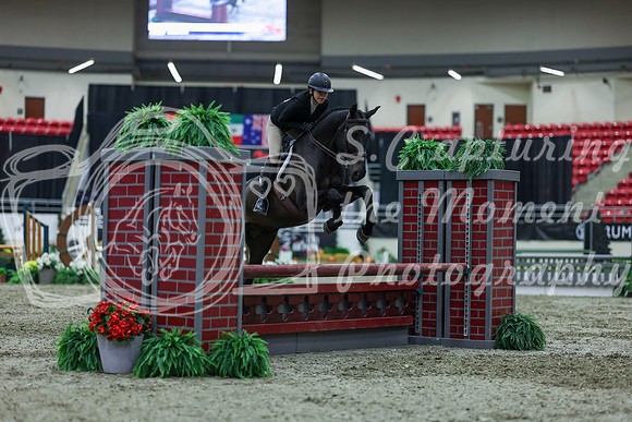 2025 - Shea - Royal West - Saturday October 18th - 01431