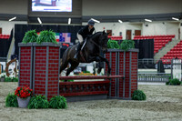 2025 - Shea - Royal West - Saturday October 18th - 01434