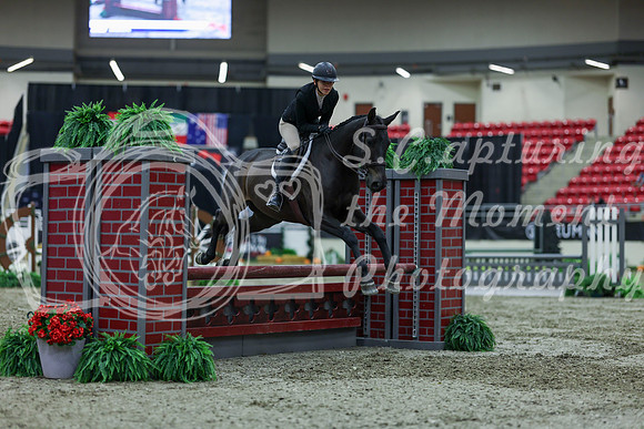 2025 - Shea - Royal West - Saturday October 18th - 01436