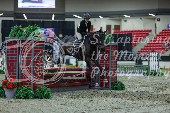 2025 - Shea - Royal West - Saturday October 18th - 01438