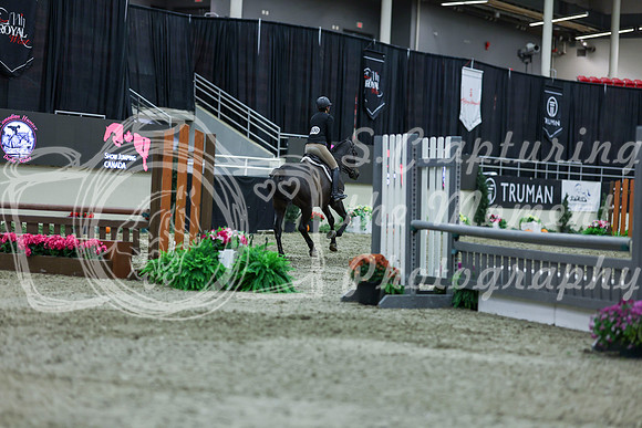 2025 - Shea - Royal West - Saturday October 18th - 01440