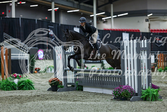 2025 - Shea - Royal West - Saturday October 18th - 01444