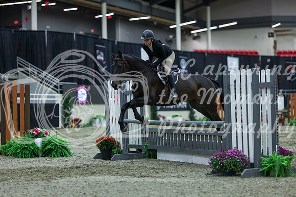 2025 - Shea - Royal West - Saturday October 18th - 01445