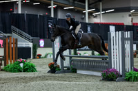2025 - Shea - Royal West - Saturday October 18th - 01446