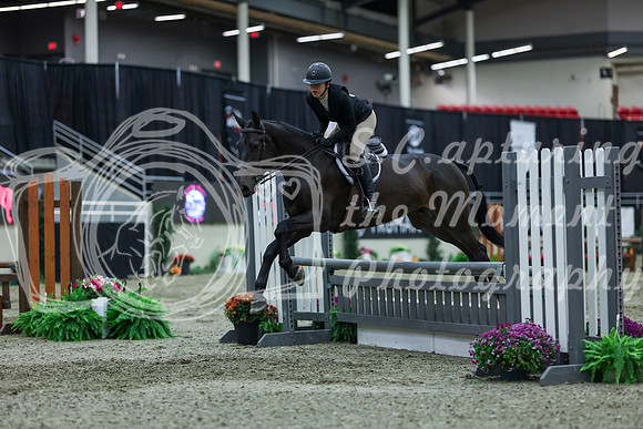 2025 - Shea - Royal West - Saturday October 18th - 01446