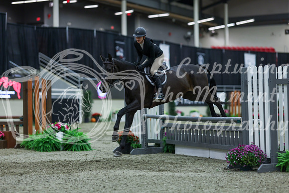 2025 - Shea - Royal West - Saturday October 18th - 01448