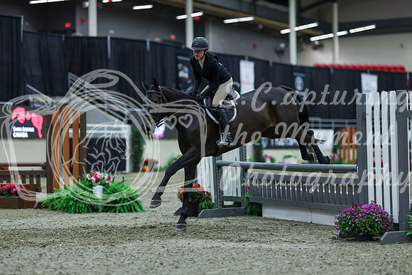 2025 - Shea - Royal West - Saturday October 18th - 01449