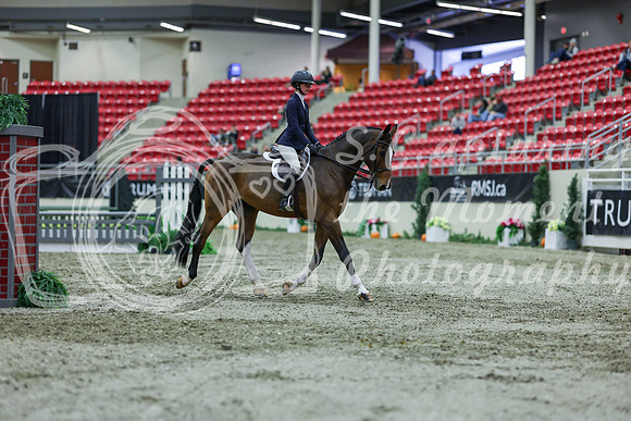 2025 - Shea - Royal West - Saturday October 18th - 01482