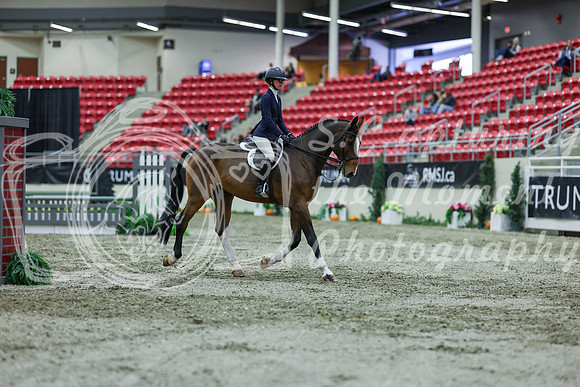 2025 - Shea - Royal West - Saturday October 18th - 01483