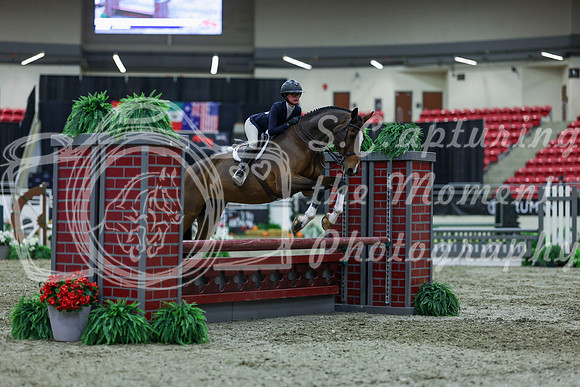 2025 - Shea - Royal West - Saturday October 18th - 01493