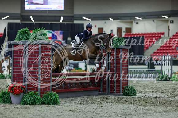 2025 - Shea - Royal West - Saturday October 18th - 01494