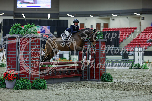2025 - Shea - Royal West - Saturday October 18th - 01495