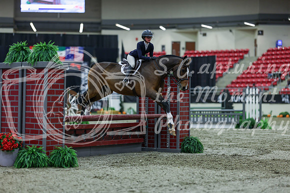 2025 - Shea - Royal West - Saturday October 18th - 01497