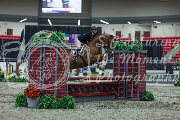2025 - Shea - Royal West - Saturday October 18th - 00550