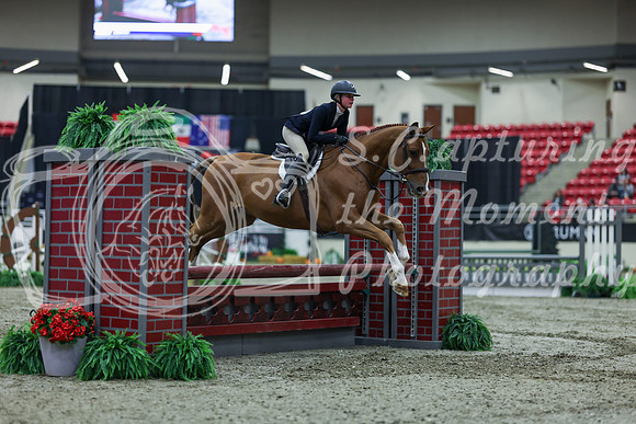 2025 - Shea - Royal West - Saturday October 18th - 00554