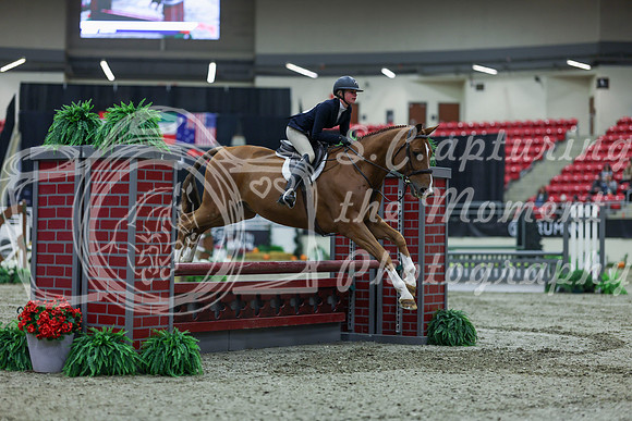 2025 - Shea - Royal West - Saturday October 18th - 00555