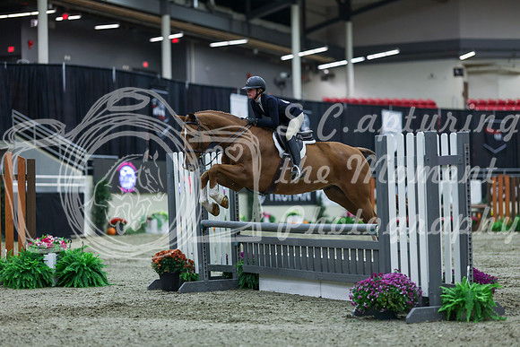 2025 - Shea - Royal West - Saturday October 18th - 00560