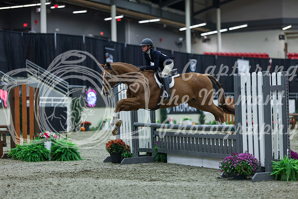 2025 - Shea - Royal West - Saturday October 18th - 00562