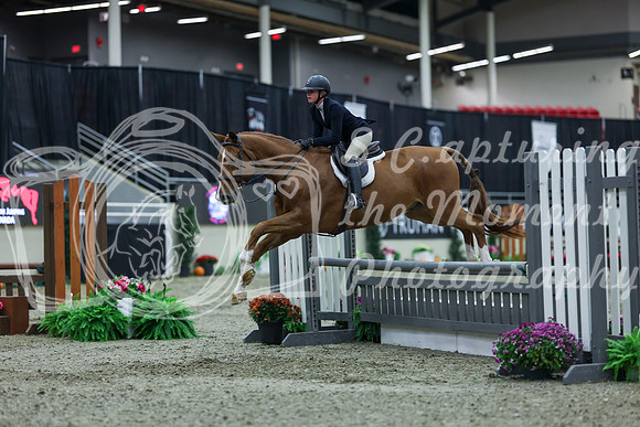 2025 - Shea - Royal West - Saturday October 18th - 00563