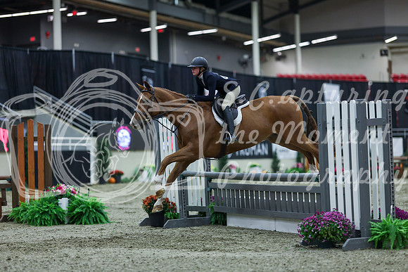2025 - Shea - Royal West - Saturday October 18th - 00623