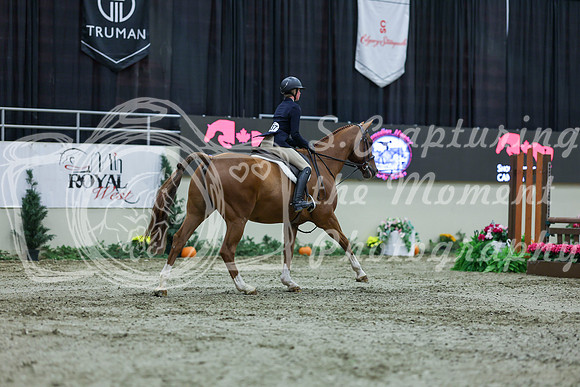 2025 - Shea - Royal West - Saturday October 18th - 00634